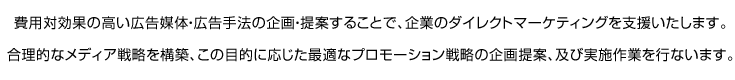 費用対効果の高い広告媒体・広告手法の企画・提案することで、企業のダイレクトマーケティングを支援いたします。合理的なメディア戦略を構築、この目的に応じた最適なプロモーション戦略の企画提案、及び実施作業を行ないます。